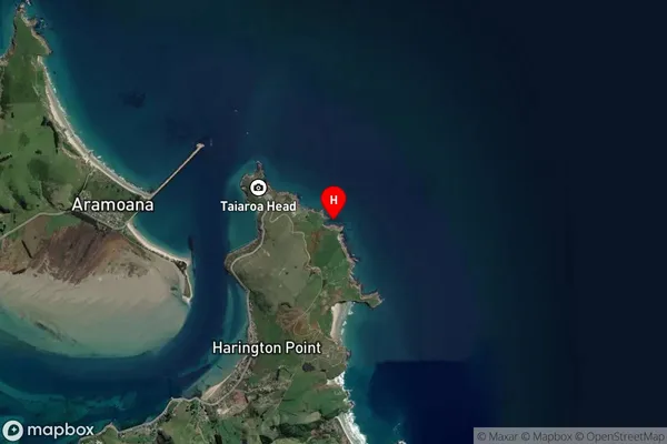 Onekapua,Otago Satellite Map