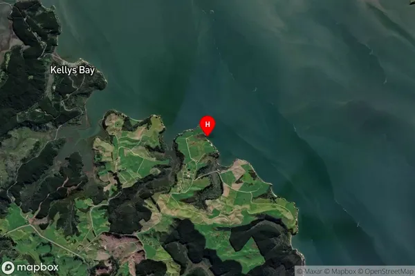 Opuna Bay,Northland Satellite Map