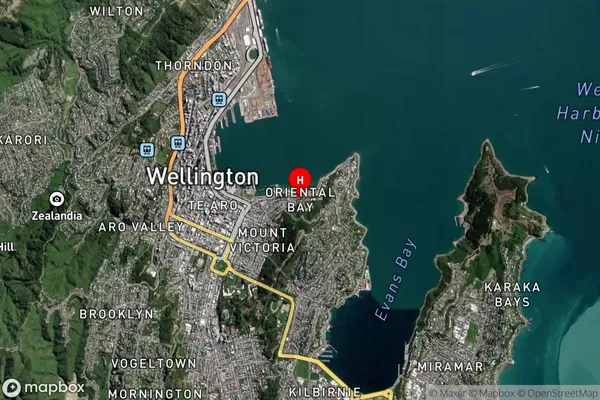 Oriental Bay,Wellington Satellite Map