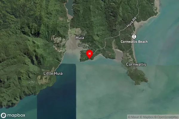 Orpheus Bay,Auckland Satellite Map