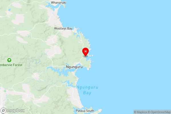 Oturu Bay,Northland Region Map
