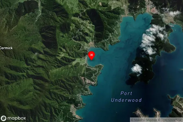 Oyster Bay,Marlborough Satellite Map