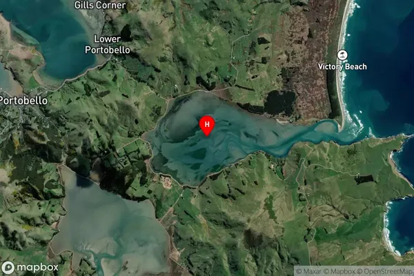 Papanui Inlet,Otago Satellite Map