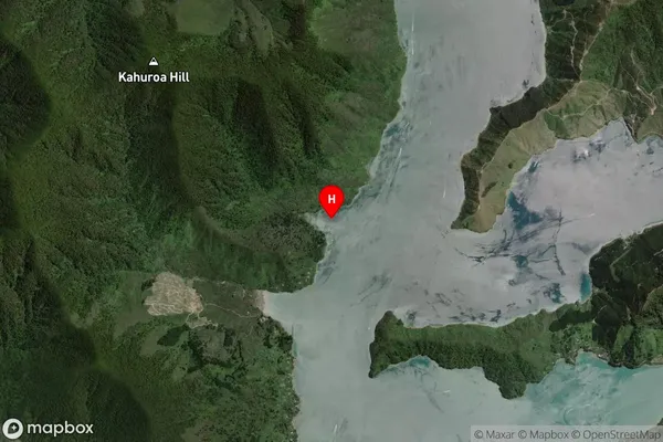 Paradise Bay,Marlborough Satellite Map