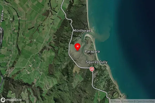 Parapara Inlet,Tasman Satellite Map