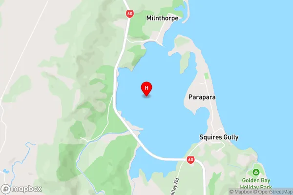 Parapara Inlet,Tasman Area Map