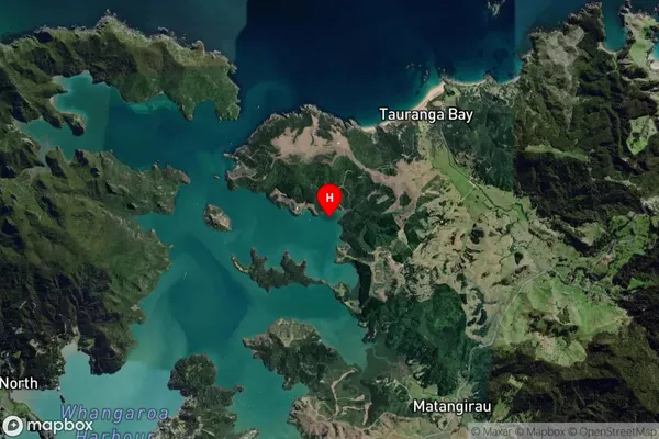 Pararako Bay,Northland Satellite Map