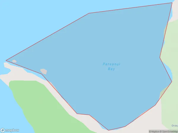 Pareanui Bay, Northland Polygon Area Map
