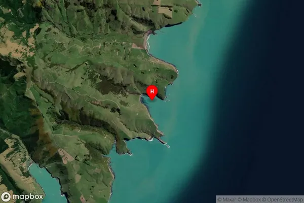 Paua Bay,Canterbury Satellite Map