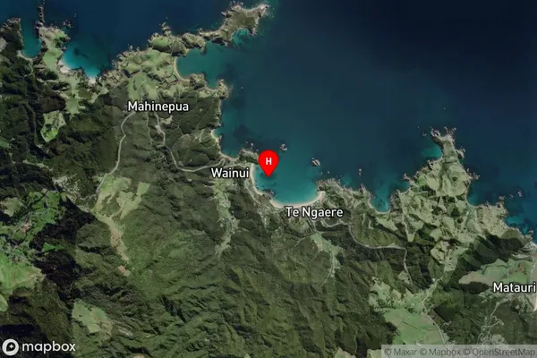 Piapia Bay,Northland Satellite Map