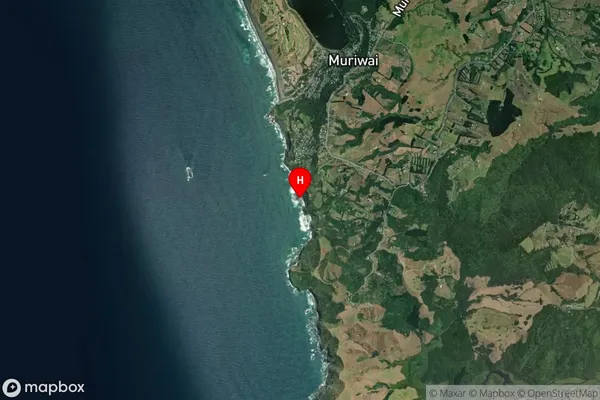 Pillow Lava Bay,Auckland Satellite Map