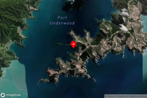 Pipi Bay,Marlborough Satellite Map