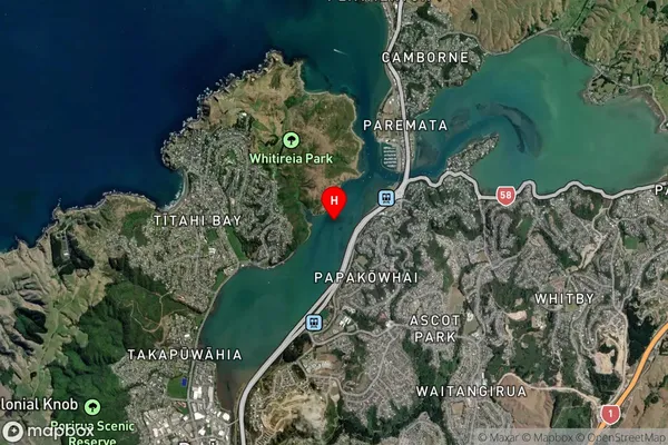 Te Awarua-o-Porirua Harbour,Wellington Satellite Map