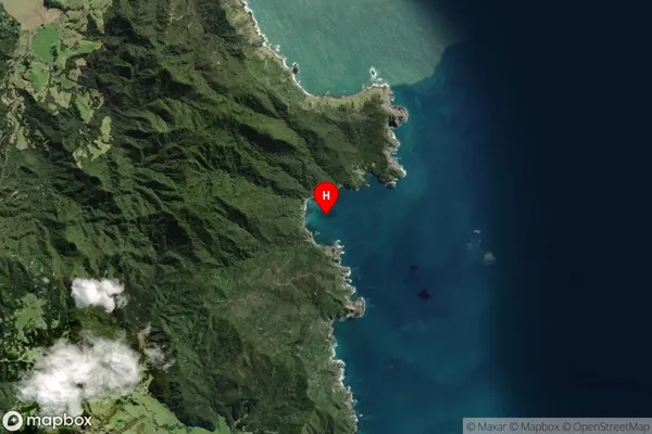 Potiki Bay,Waikato Satellite Map