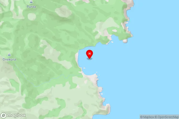 Potiki Bay,Waikato Area Map