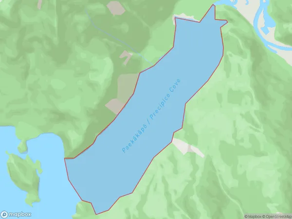 Precipice Cove, Otago Polygon Area Map