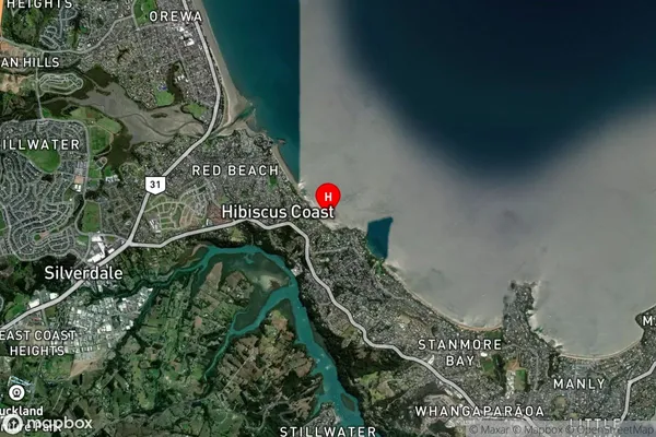 Puawai Bay,Auckland Satellite Map