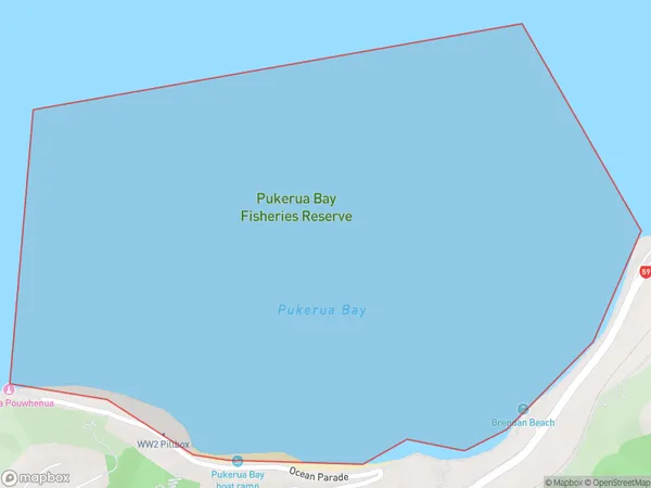 Pukerua Bay, Otago Polygon Area Map