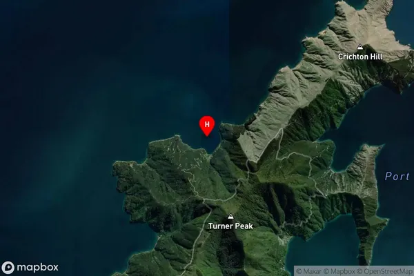 Pukatea Bay,Marlborough Satellite Map