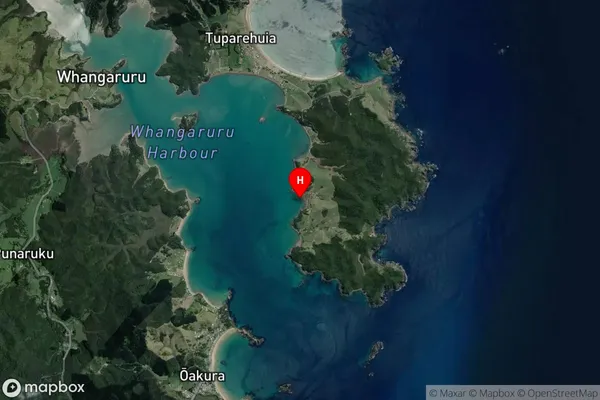 Puriri Bay,Northland Satellite Map