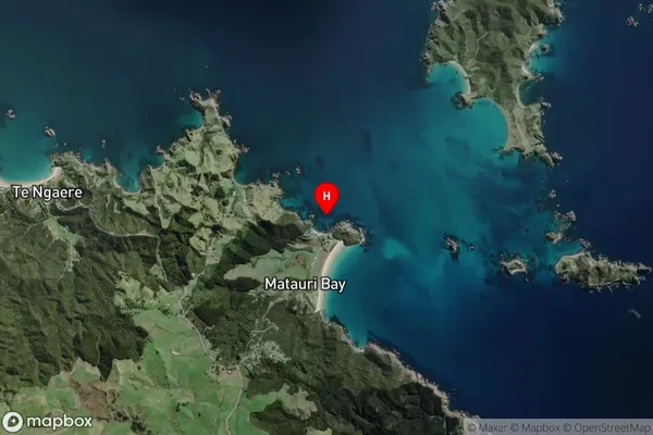 Putataua Bay,Northland Satellite Map