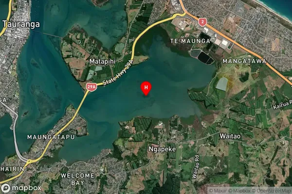 Te Tahuna o Rangataua,Bay of Plenty Satellite Map