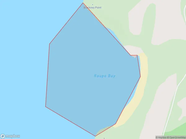 Raupo Bay, Otago Polygon Area Map