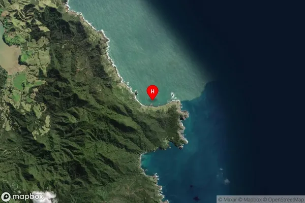 Rauporoa Bay,Waikato Satellite Map