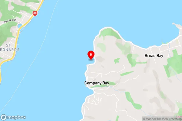 Raynbirds Bay,Otago Area Map