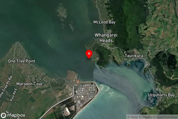 Reotahi Bay,Northland Satellite Map