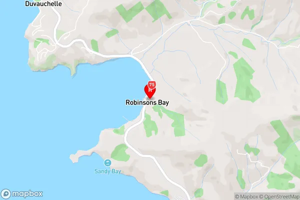 Robinsons Bay,Canterbury Area Map