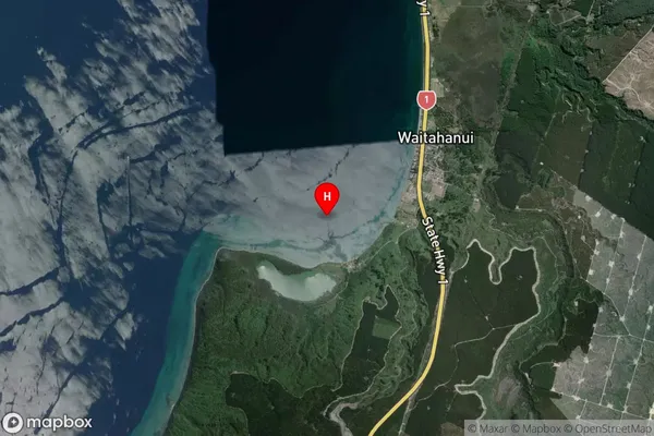 Rotongaio Bay,Waikato Satellite Map