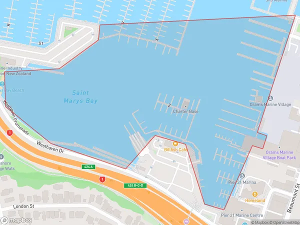 Saint Marys Bay, Auckland Polygon Area Map