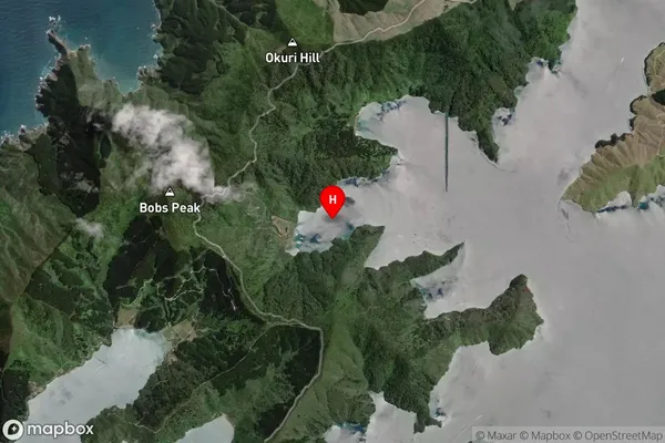Savill Bay,Marlborough Satellite Map