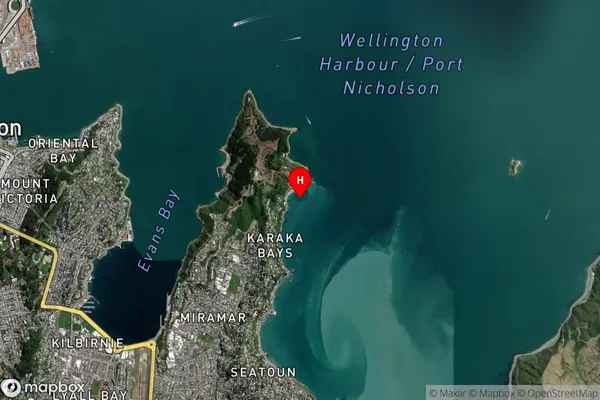 Scorching Bay,Wellington Satellite Map