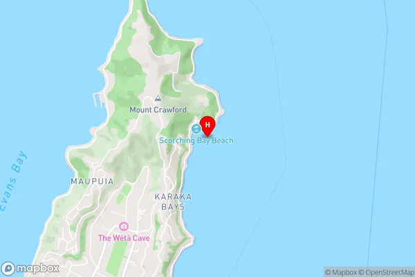 Scorching Bay,Wellington Area Map