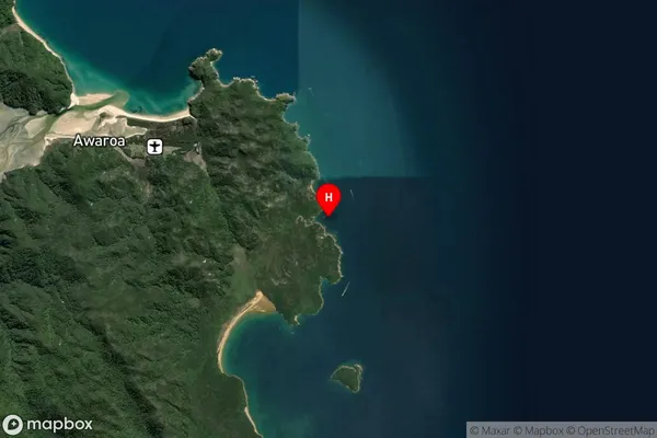 Shag Harbour,Tasman Satellite Map