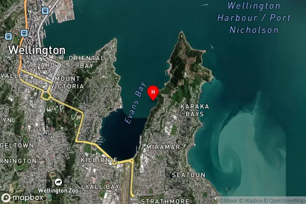 Shark Bay,Wellington Satellite Map