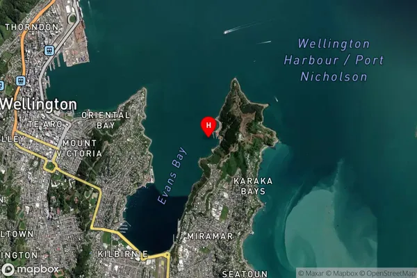 Shelly Bay,Wellington Satellite Map