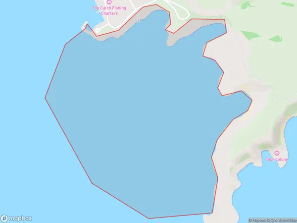 South Bay, Otago Polygon Area Map