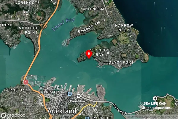 Stanley Bay,Auckland Satellite Map