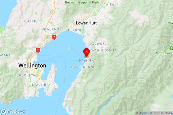 Sunshine Bay,Wellington Region Map