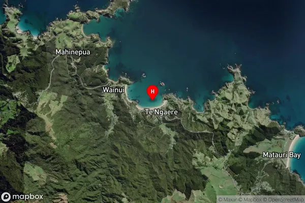 Taiaue Bay,Northland Satellite Map