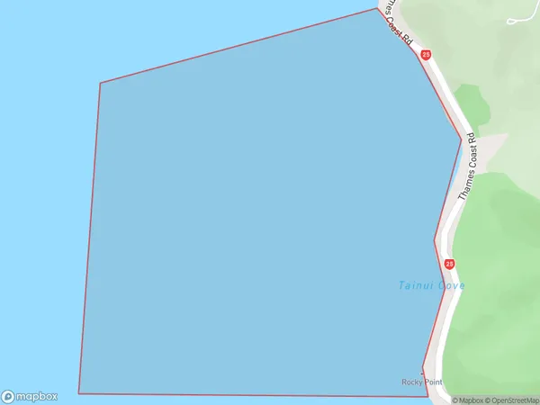 Tainui, Otago Polygon Area Map