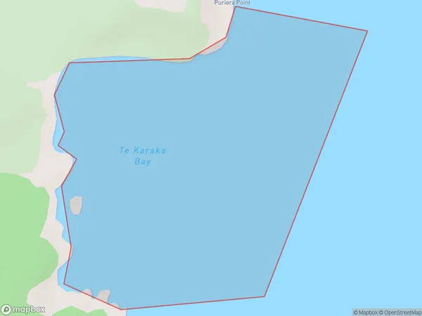 Te Karaka Bay, Otago Polygon Area Map
