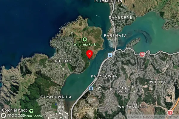 Te Onepoto Bay,Wellington Satellite Map