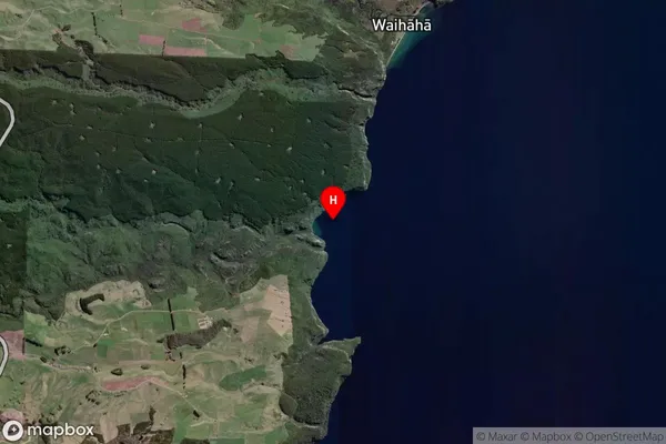 Te Papa Bay,Waikato Satellite Map