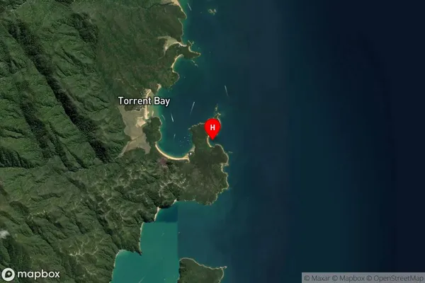 Te Pukatea Bay,Tasman Satellite Map