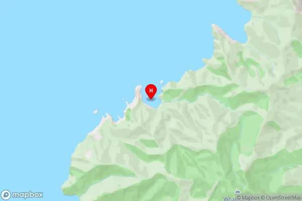 Te Reinga Bay,Northland Area Map