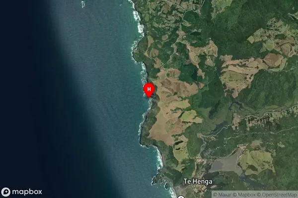 Te Waharoa,Auckland Satellite Map